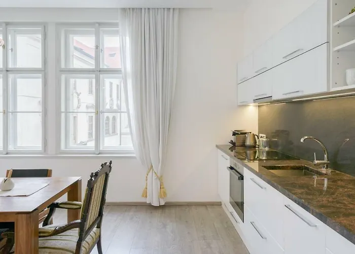 Stylish, Light-filled In The Historic Center Apartment Prague